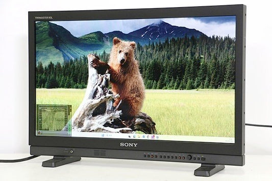 SONY PVM-A250 25-inch Commercial Organic EL Monitor [m1194531484]