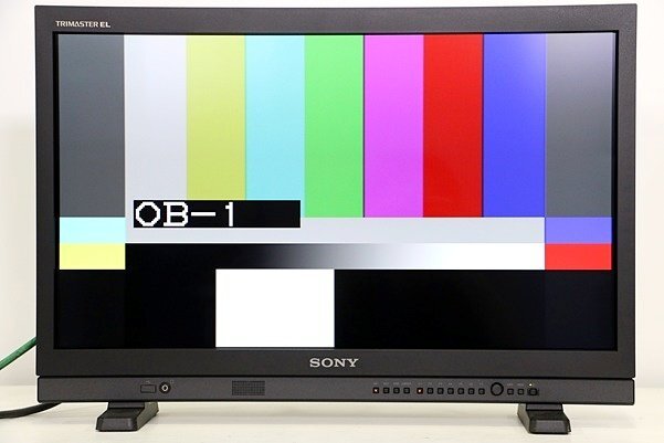 SONY PVM-A250 25-inch Commercial Organic EL Monitor [m1194531484]
