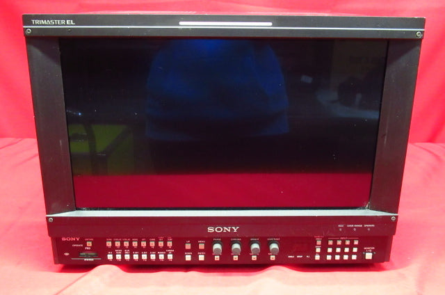 SONY BVM-F170 Professional Monitor 17-inch Organic EL Master Monitor Duplex Hard Case [1213898619]