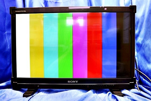 Sony PVM-A250 25-inch Commercial OLED Monitor