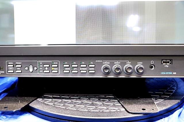 Ikegami HEM-2570W 25-Inch Multi-Format OLED Master Monitor [k1197056361]
