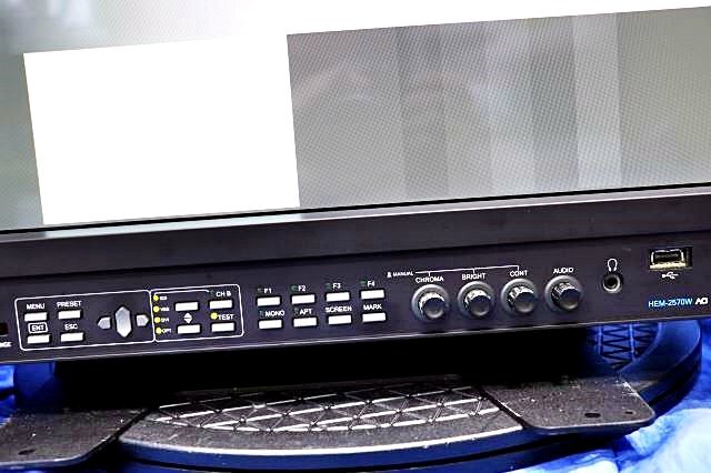 Ikegami HEM-2570W 25-Inch Multi-Format OLED Master Monitor [w1197053431]