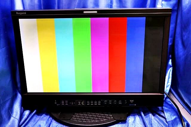 Ikegami HEM-2570W 25-inch OLED Master Monitor [b1197069359]