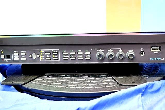 Ikegami HEM-2570W 25-inch Multi-Format OLED Master Monitor [u1197070678]