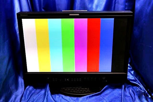 Ikegami HEM-2570W 25-Inch Multi-Format OLED Master Monitor [r1197051129]