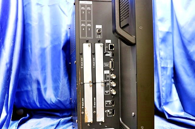 SONY BVM-F250A Monitor [p1198664827]