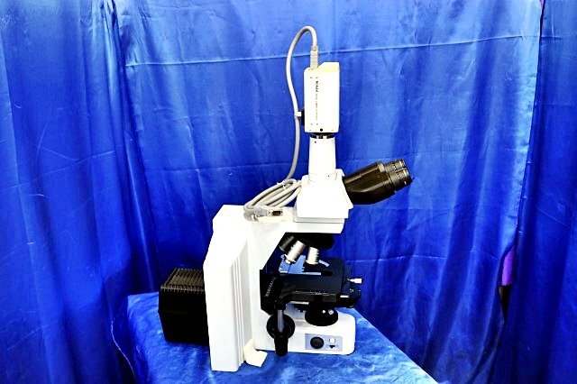 Nikon ECLIPSE E600W Microscope Digital Camera DXM1200 with 6 Objective Lenses [m1207718759]