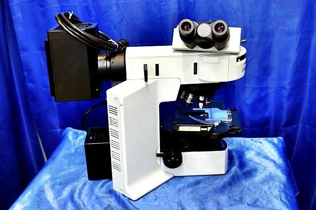 OLYMPUS BX51TF Biological Microscope with Eyepiece and Objective Lenses [p1209925904]