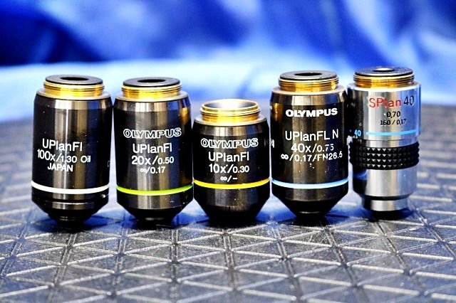 OLYMPUS BX51TF Biological Microscope with Eyepiece and Objective Lenses [p1209925904]