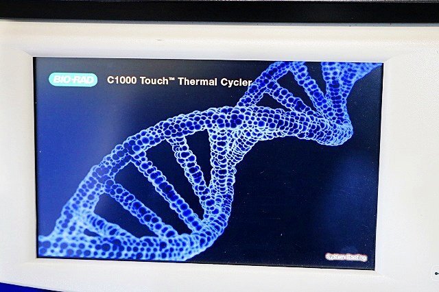 BIO-RAD CFX96 Touch Real-time PCR Analysis System [e1219182110]