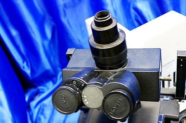 OLYMPUS BX50-F4 Fluorescence Upright Microscope with 4 Objective Lenses (as-is) [q1227226366]