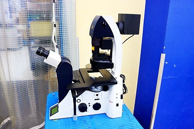Leica TCS SP5 Confocal Laser Microscope DMI6000 CS with 5 Objectives [f1241342368]