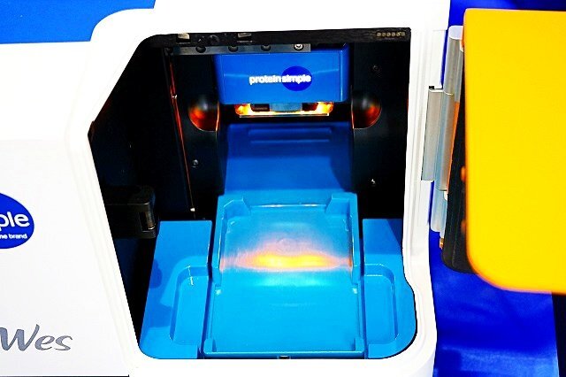 ProteinSimple Wes Automated Western Blotting System Protein Analyzer 360mm x 430mm x 540mm 26kg [u1242888192]