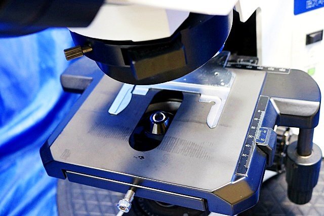 Olympus BX41TF Microscope with 3 Objective Lenses Plan 10x 20x 40x WH10X/22 [q1243313826]
