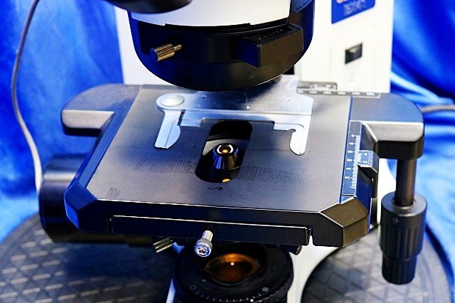 Olympus BX41TF Microscope with 3 Objective Lenses Plan 10x 20x 40x WH10X/22 [q1243313826]