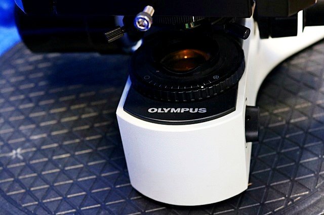 Olympus BX41TF Microscope with 3 Objective Lenses Plan 10x 20x 40x WH10X/22 [q1243313826]