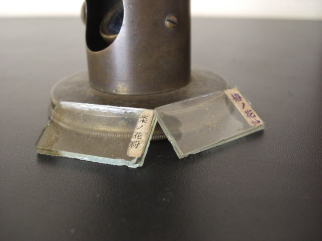 Antiques Meiji Period Microscope [j1196549317]