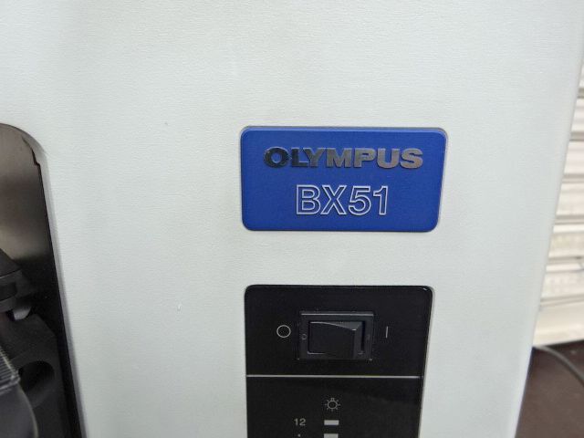 Olympus BX51TF System Biological Microscope [1225936163]