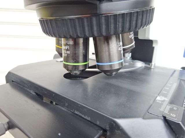Olympus BX51TF System Biological Microscope [1225936163]
