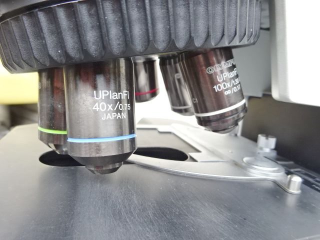 Olympus BX51TF System Biological Microscope [1225936163]