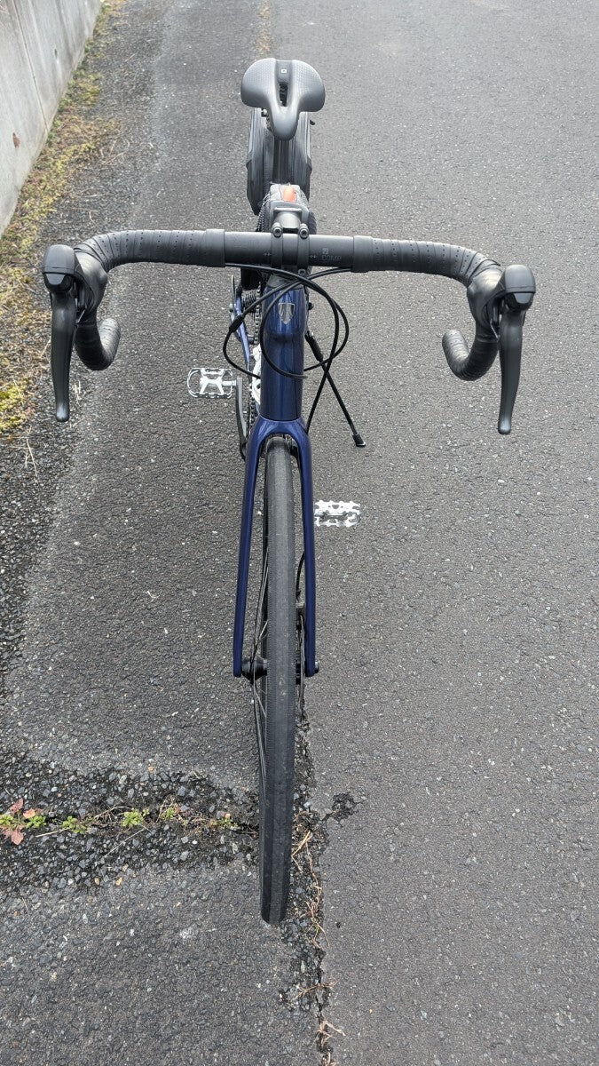 TREK Domane AL2 Disc 54 Road Bike [p1215914549]