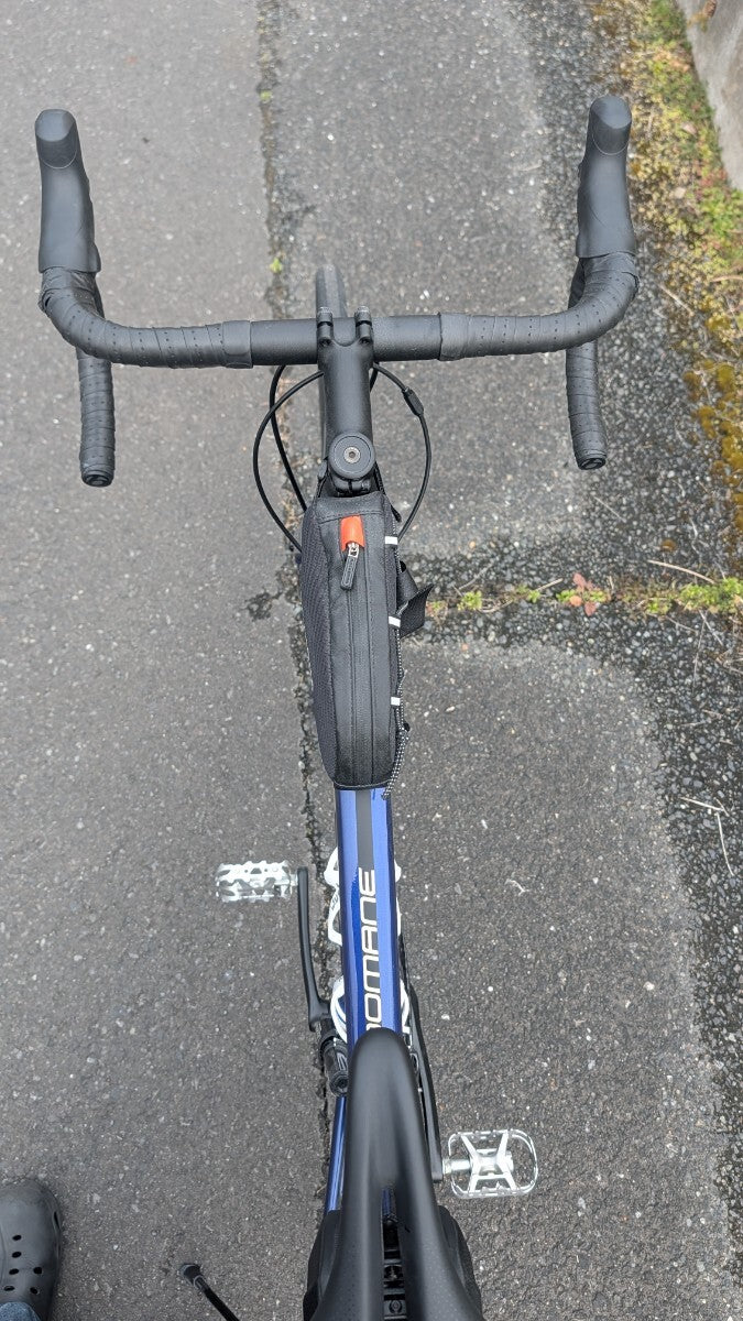 TREK Domane AL2 Disc 54 Road Bike [p1215914549]