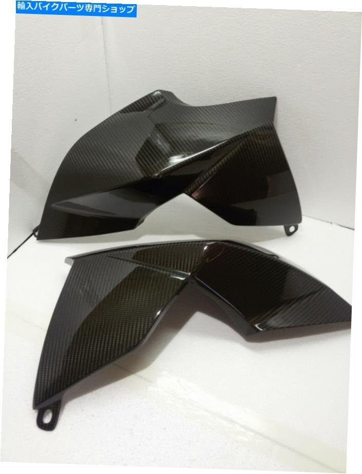 Aprilia Dorsoduro 1200 Side Tank Fairings Carbon [r1161124638]