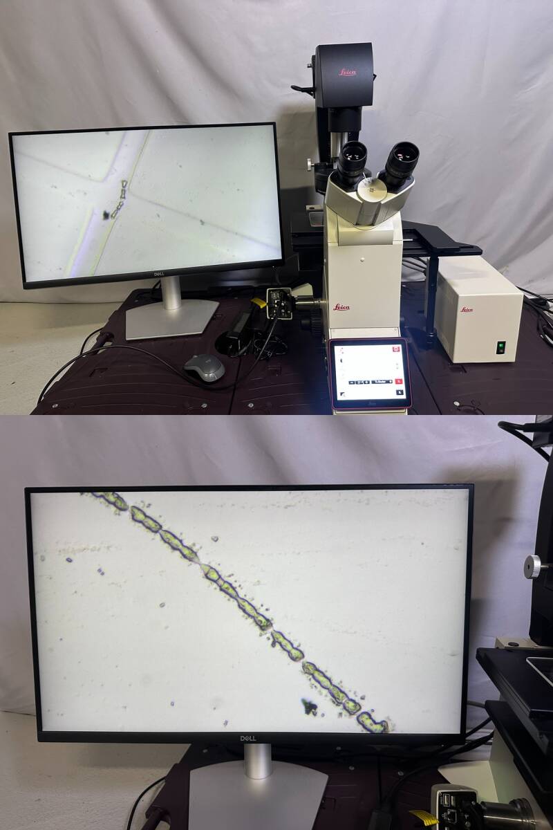 Leica DMi8 automated Inverted Microscope 2021 with 5 Objectives FLEXACAM C1 CTR compact Phase Contrast (as-is) [s1245743065]