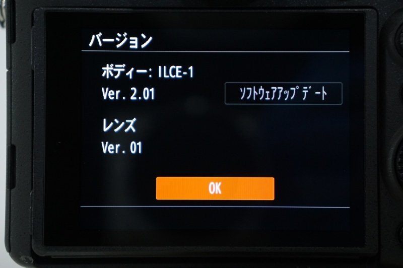 SONY α1 Mirrorless Camera + FE 40mm F2.5 G Lens Set [v1213015679]