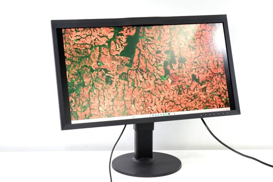 EIZO CG319X 31.1 Inch 4K Color Management LCD Monitor [n1214949099]