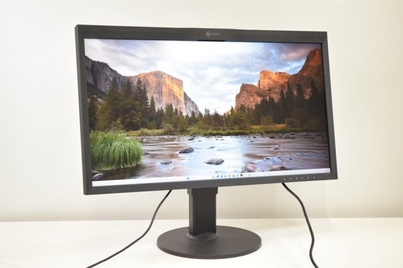 EIZO CG319X 31.1 Inch 4K Color Management LCD Monitor [1216645693]