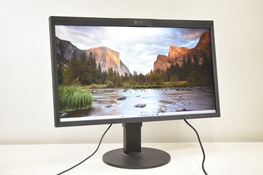 EIZO CG319X 31.1 Inch 4K Color Management LCD Monitor [1216645693]