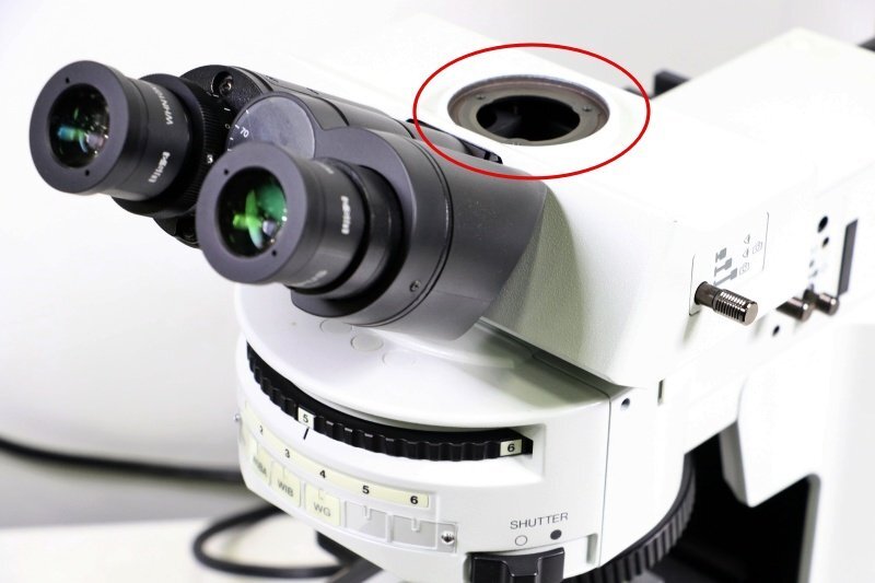 OLYMPUS BX51TRF Microscope [q1217035102]