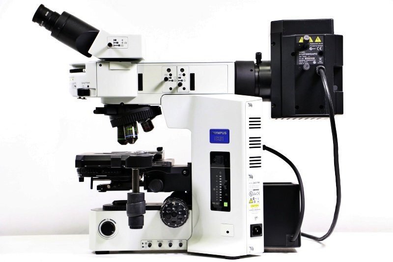 OLYMPUS BX51TRF Microscope [q1217035102]