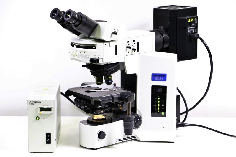 OLYMPUS BX51TRF Microscope [q1217035102]
