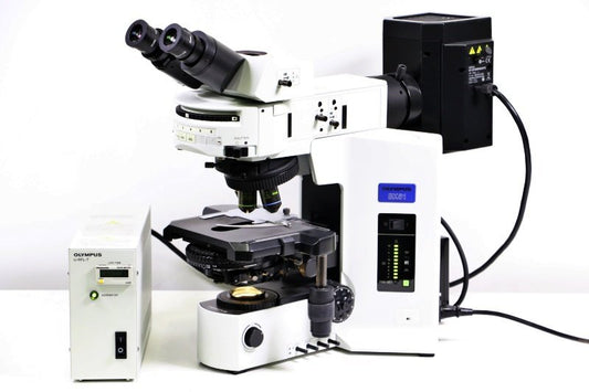 OLYMPUS BX51TRF Microscope [q1217035102]