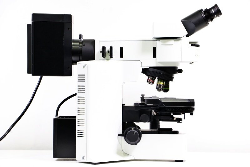 OLYMPUS BX51TRF Microscope [q1217035102]