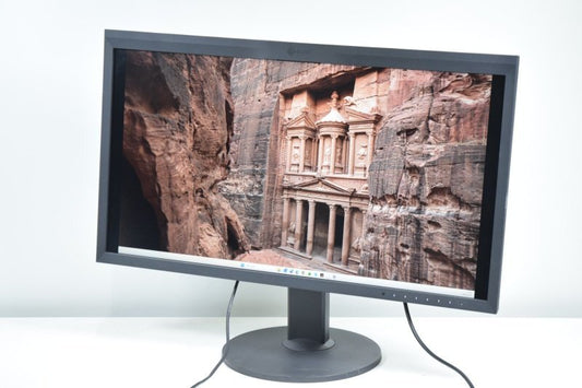 EIZO CG319X 31.1 Inch 4K Color Management LCD Monitor [q1217583804]