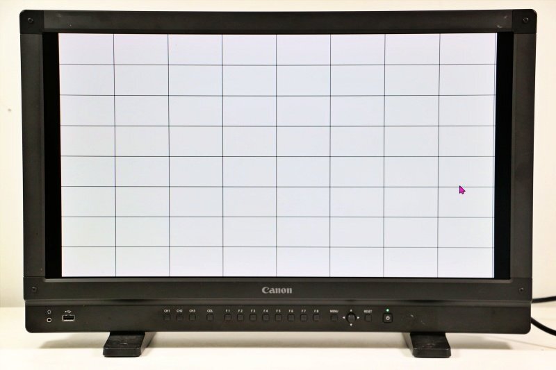 Canon DP-V2410 24-inch 4K Display [b1231958683]
