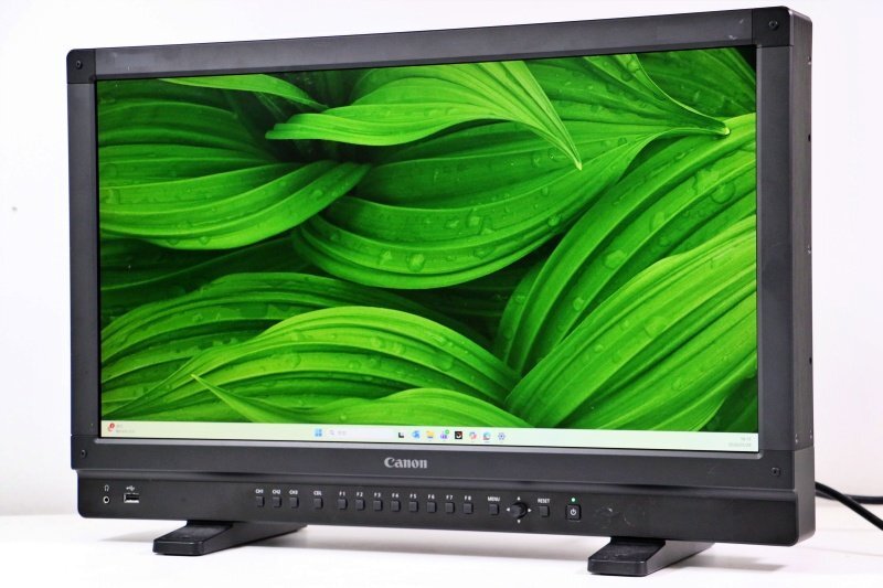 Canon DP-V2410 24-inch 4K Display [b1231958683]