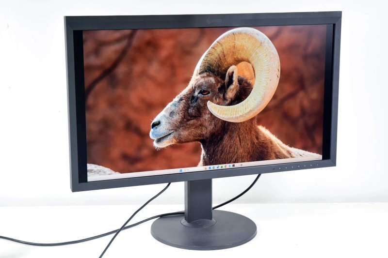 EIZO CG319X 31.1-inch 4K Color Management LCD Monitor [1242029239]