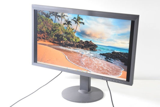 EIZO CG319X 31.1-inch 4K Color Management LCD Monitor [v1243285698]