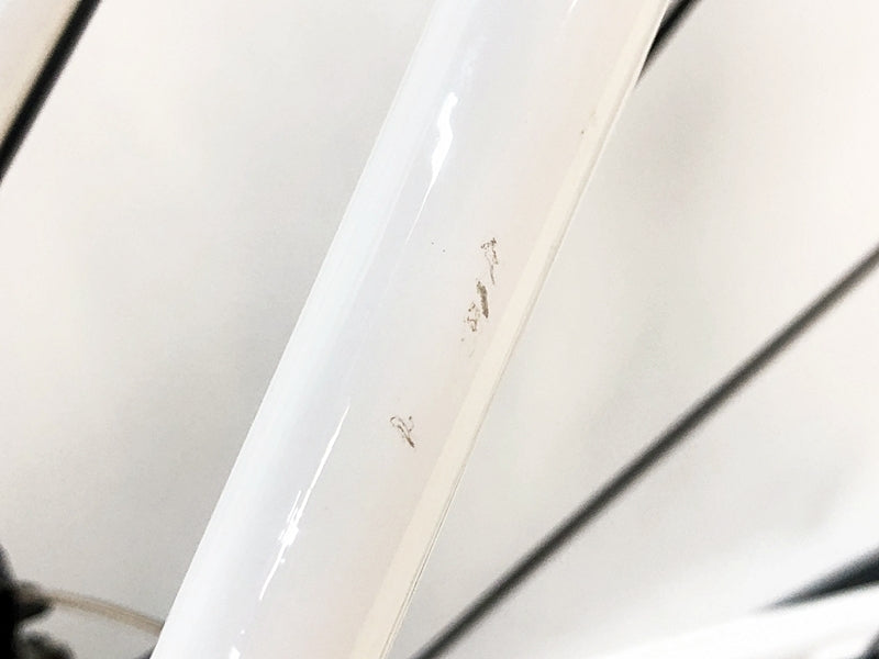 TREK Domane AL 3 Disc Sora 2023 Road Bike Size 54 White [k1191482507]