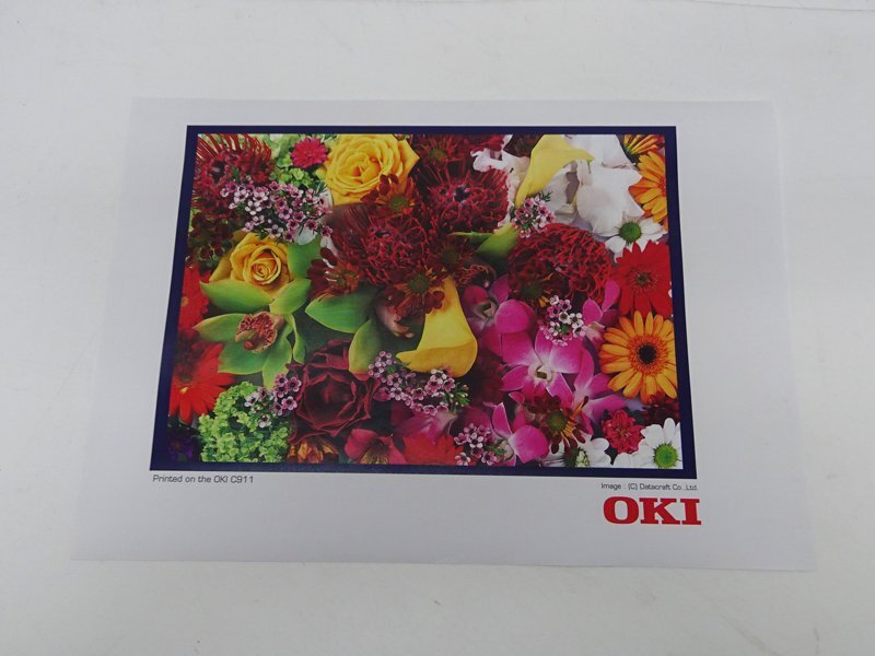 OKI C911dn Color LED Printer [u1196147369]
