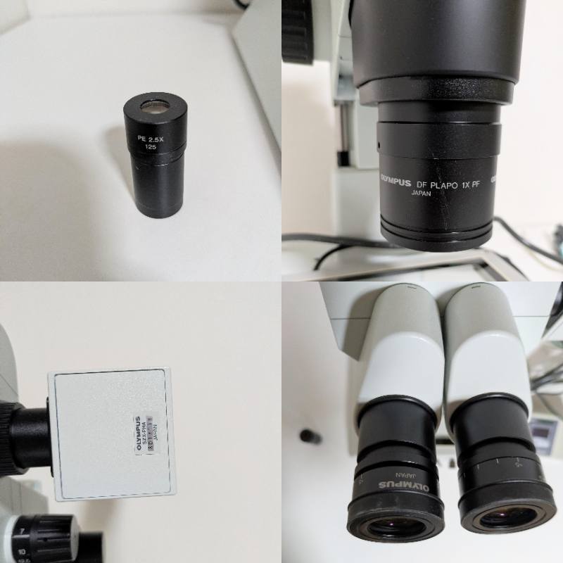 Olympus SZX12 Research Stereo Microscope System with Temperature Control [s1245545430]