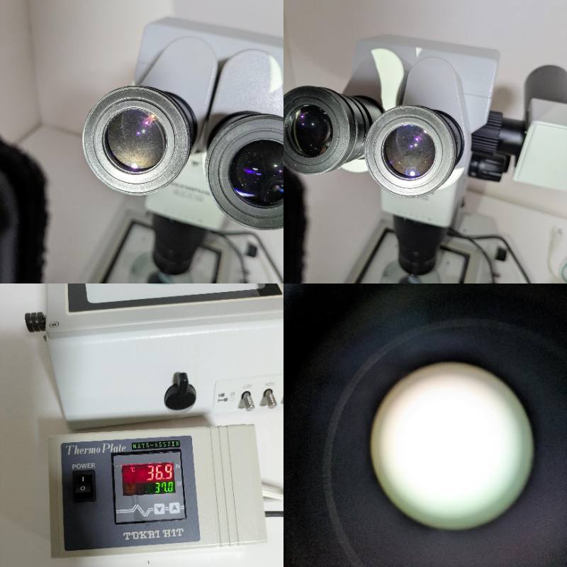 Olympus SZX12 Research Stereo Microscope System with Temperature Control [s1245545430]