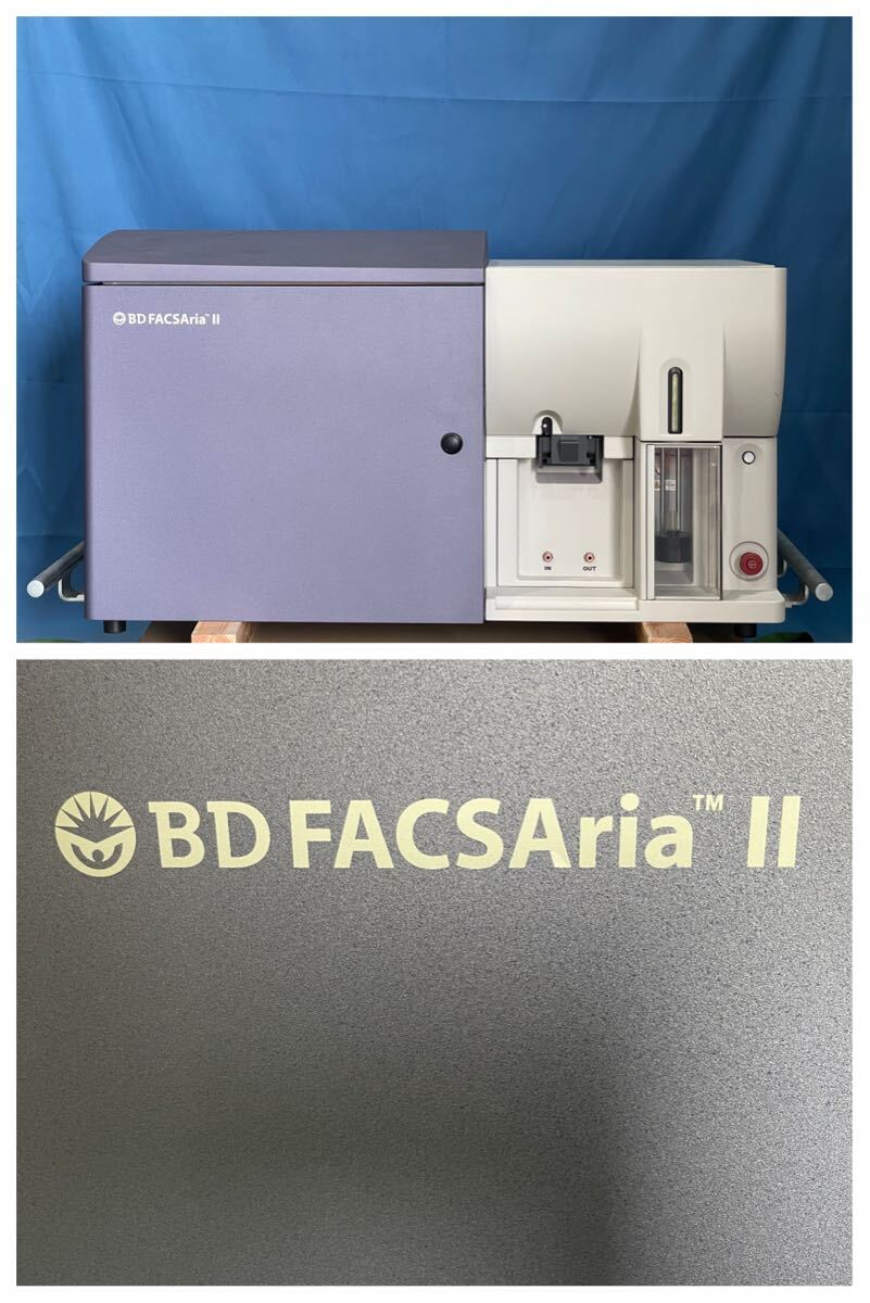 BD FACSAria II Cell Sorter [q1192897485]