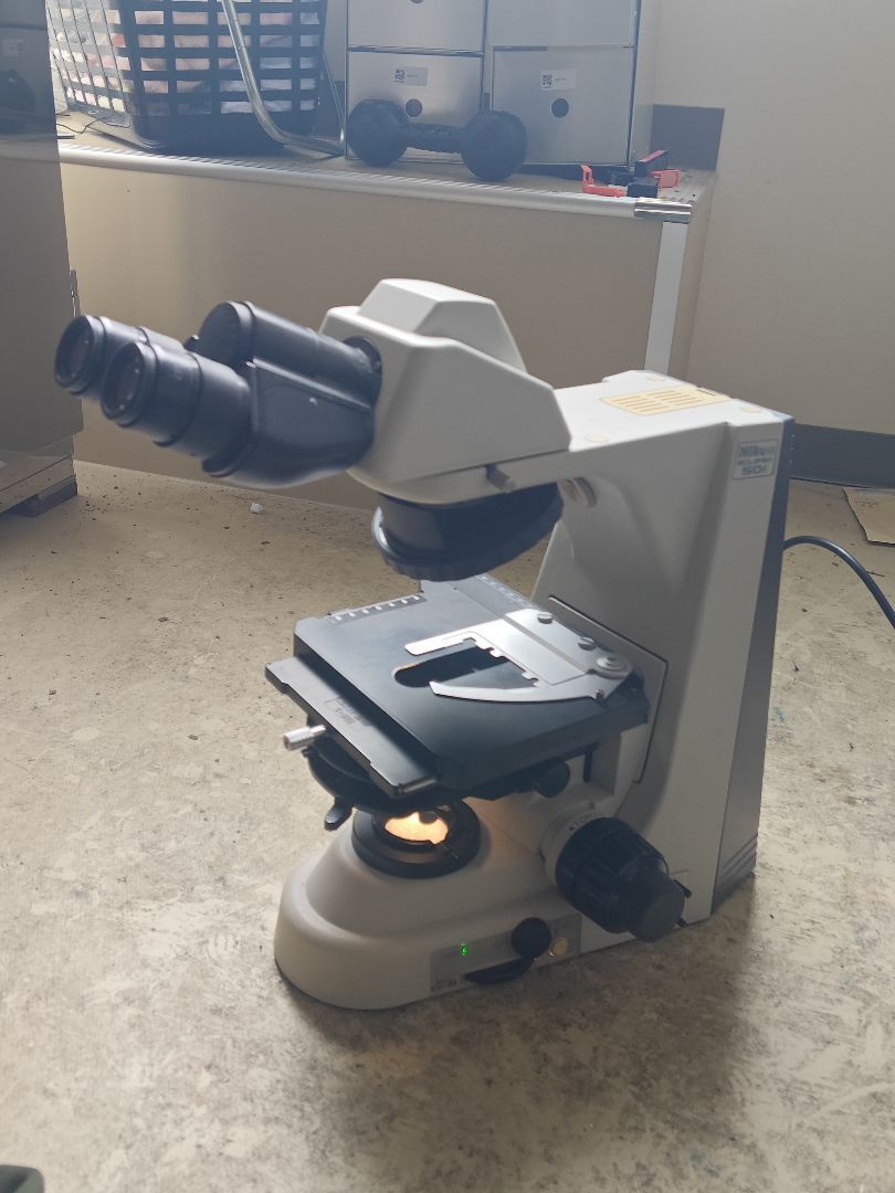 Nikon ECLIPSE 50i Microscope with Eyepiece [n1219697421]