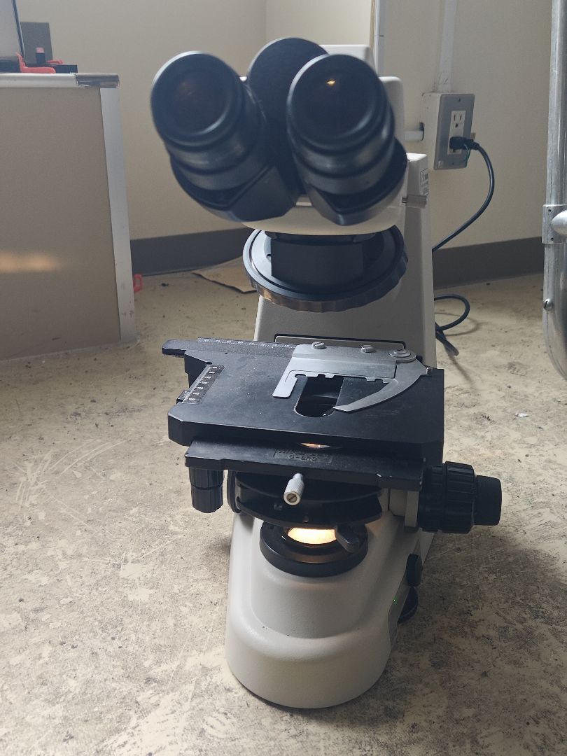 Nikon ECLIPSE 50i Microscope with Eyepiece [n1219697421]