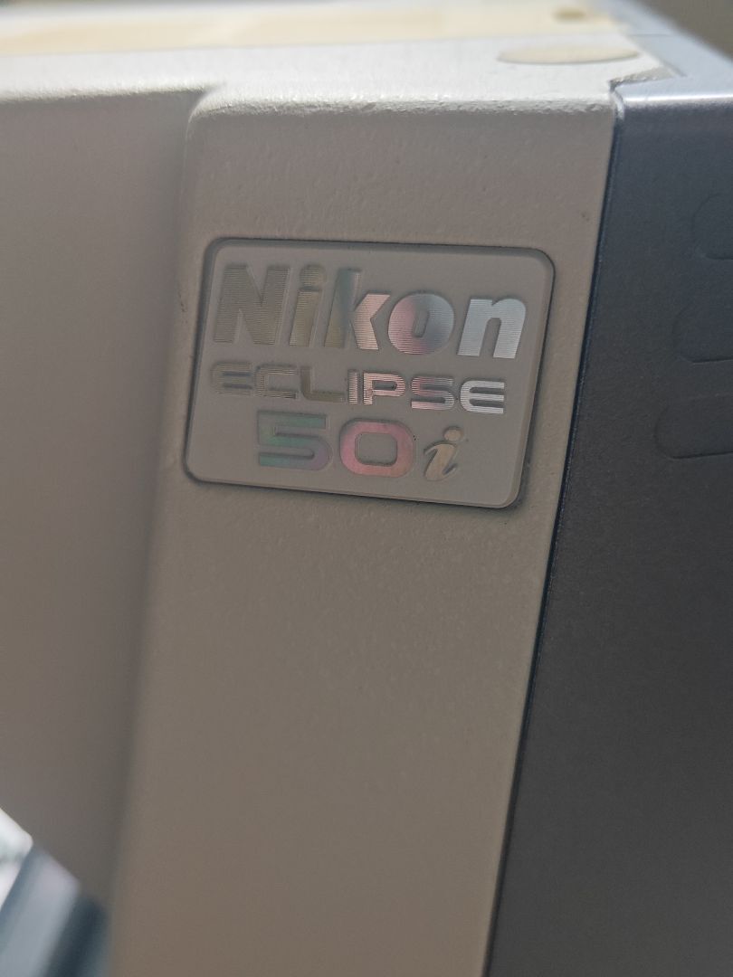 Nikon ECLIPSE 50i Microscope with Eyepiece [n1219697421]